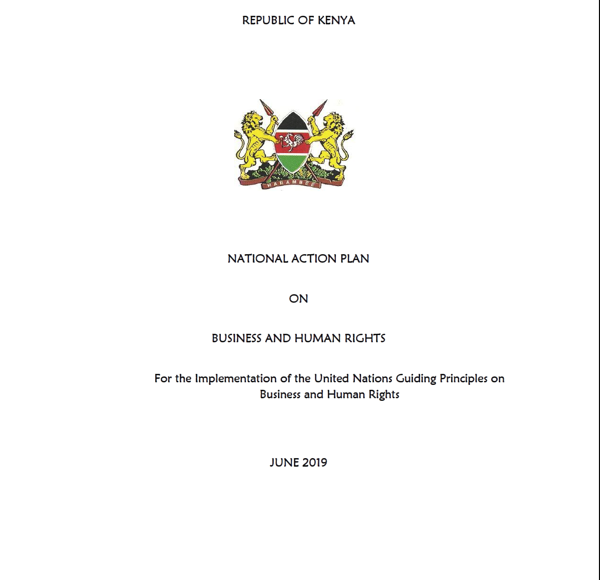 National Action Plan on Business and Human Rights​ 2019.